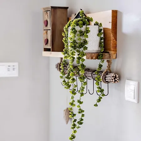 Na Szczycie Konopi *