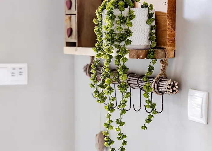 Na Szczycie Konopi *